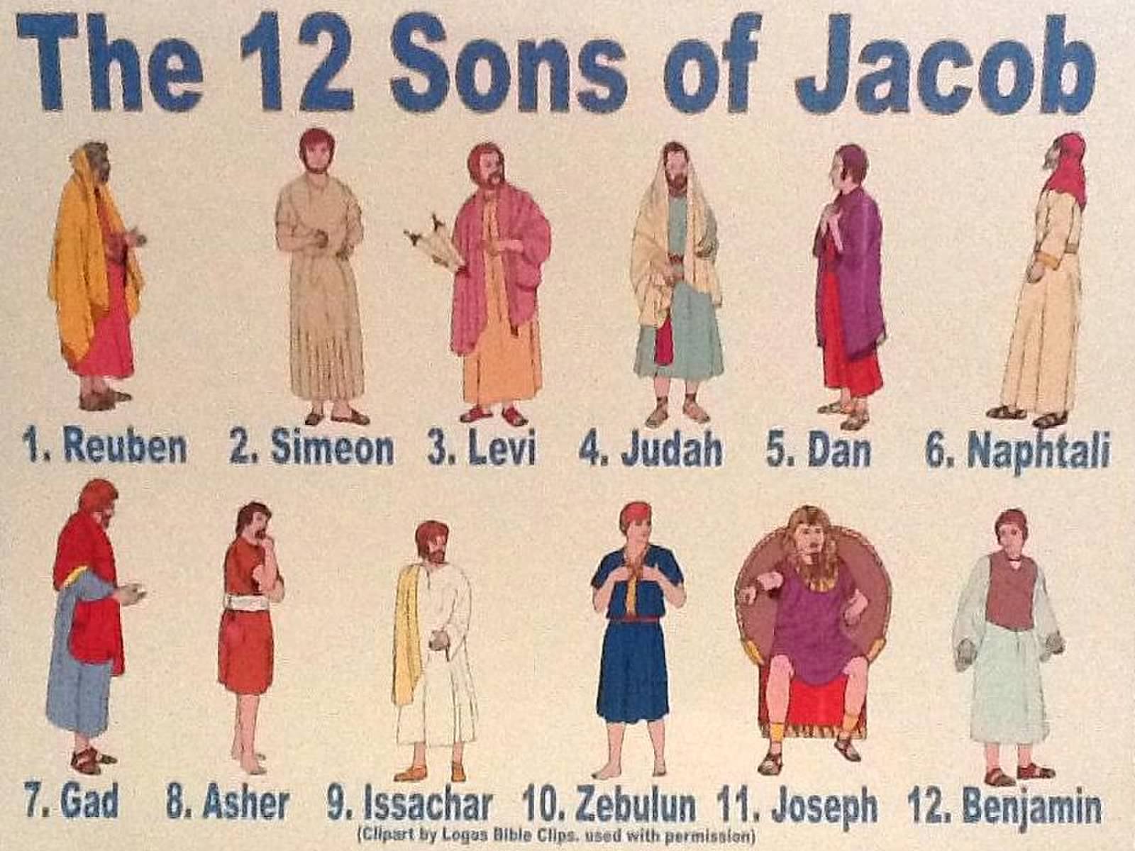 Image result for The 12 Tribes Of Israel?