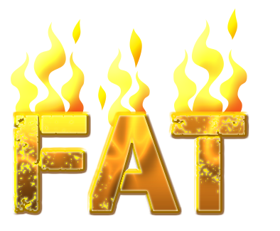 Image result for fat